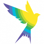 custom_website