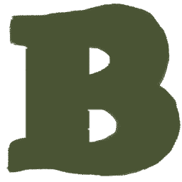 custom_website