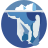 custom_website