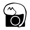 custom_website